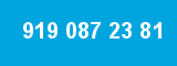 919 087 23 81